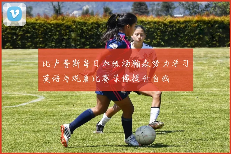 比卢普斯每日加练杨瀚森努力学习英语与观看比赛录像提升自我